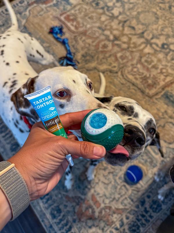 They definitely liked the taste of the toothpaste. It smells like a minty peanut butter.