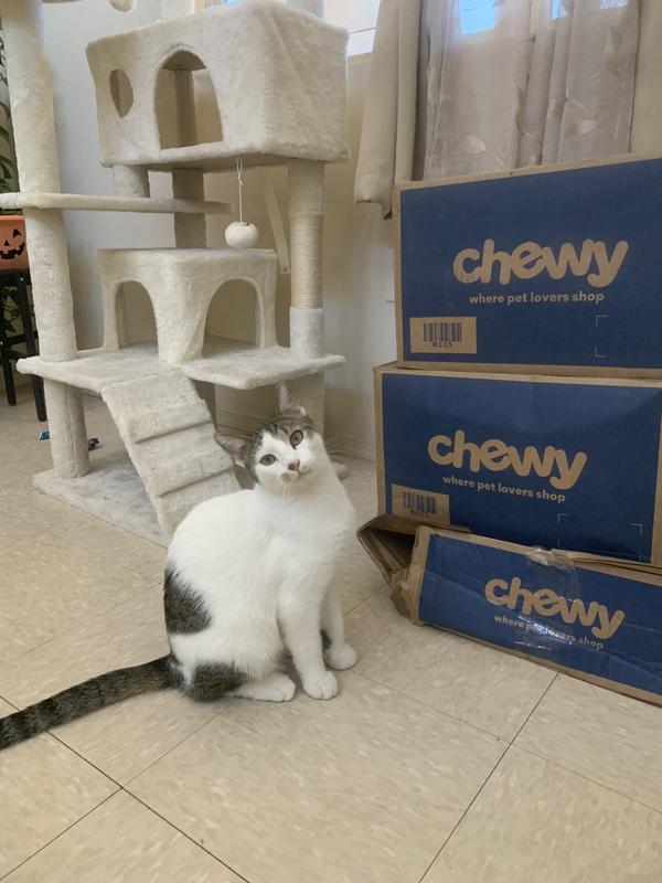 Patiently waiting to get them open