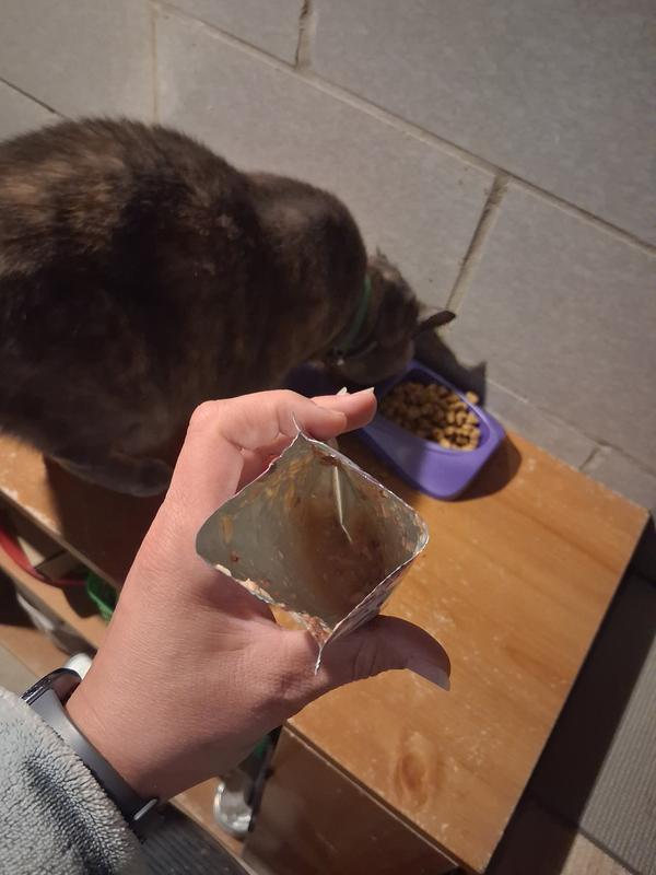 Lot of broth and chunks of fish