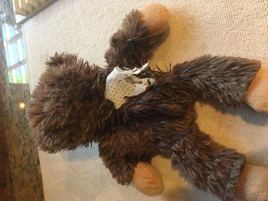 Chomper Cord O'Roy Wobble Dog Toy, Bear