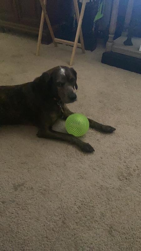 pepper
