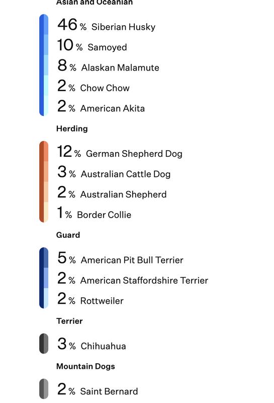 ancestry for a dog that looks almost 100% husky
