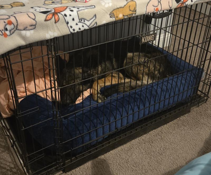 He loves it