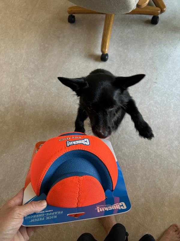 Chuckit kick fetch ball clearance