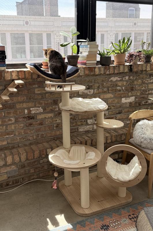We set up the tree right under her wall-mounted window bed
