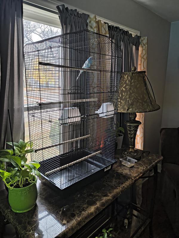 Nick love's his new home 🏠