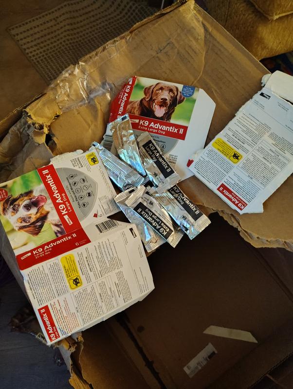 Box Torn