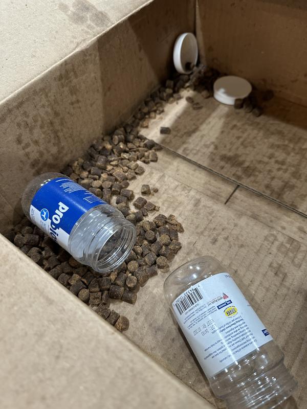 Dried out, with the lids on the other side of the case of canned food.