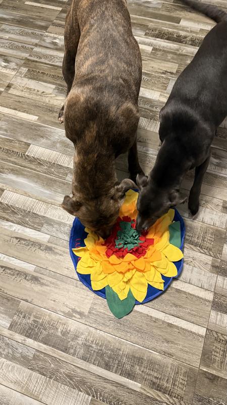 Curiosity piqued. Tons of fun for my furry babies🐶