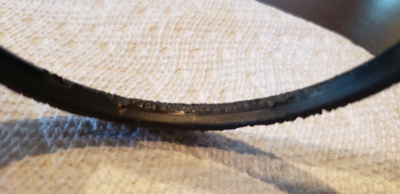 Bite marks from the cats attempt to remove it from around her neck!