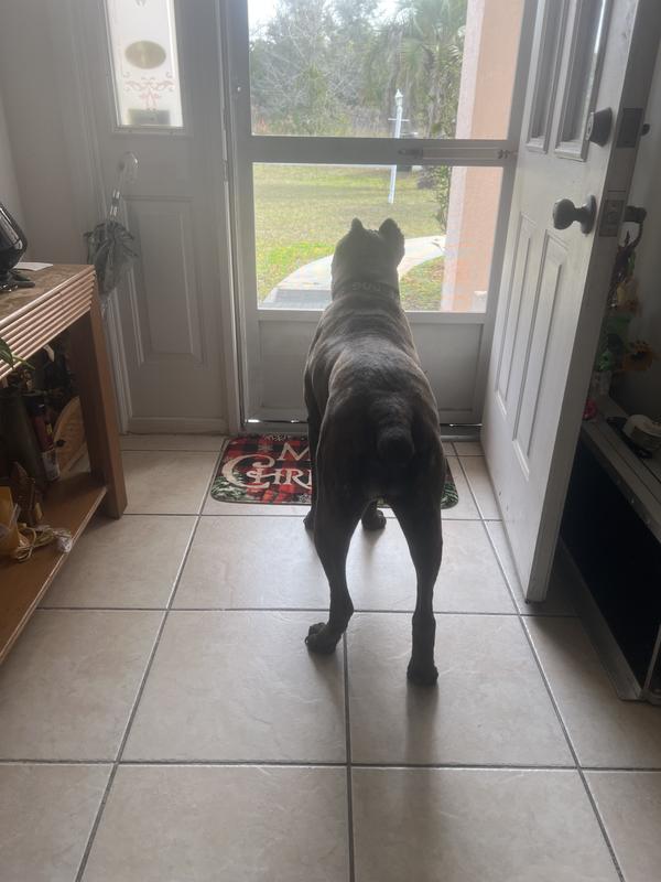 Waiting for my food.