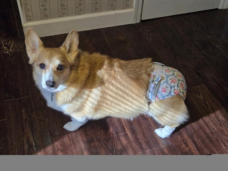 Rocket may not approve, but her mommy does!