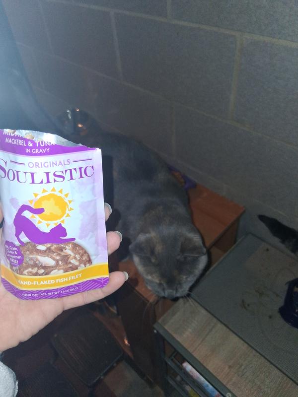 Yeti was impatiently waiting