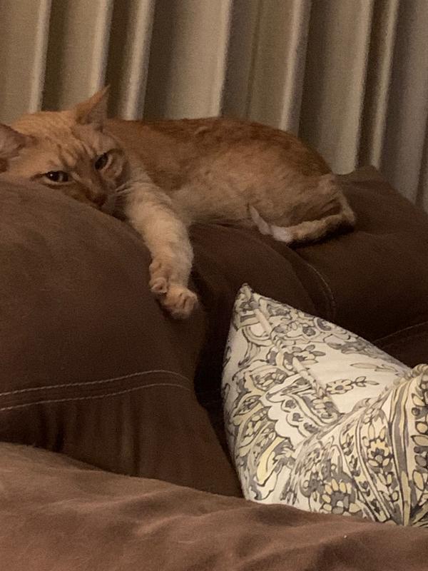 Eddie at 10 lbs.