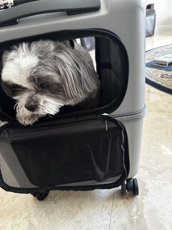 Small peakaboo opening