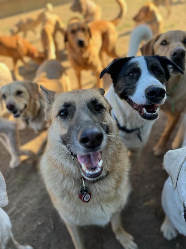 Sasha & Best Friends