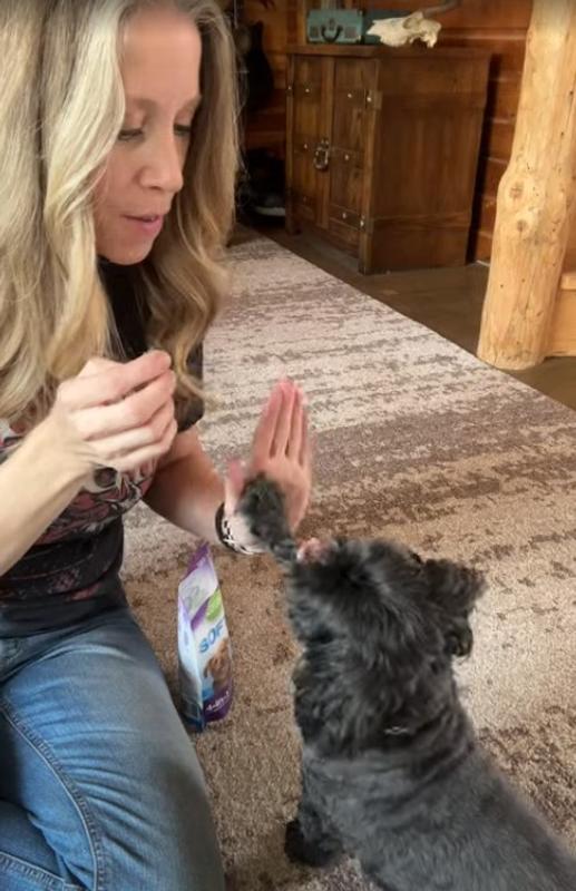 High Fiving for a Treat