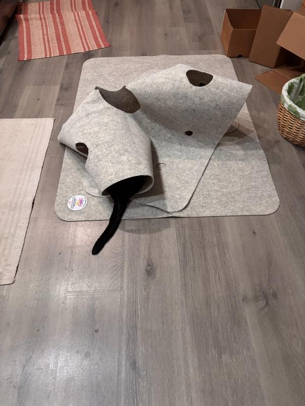 If I can't see you, you can't see me