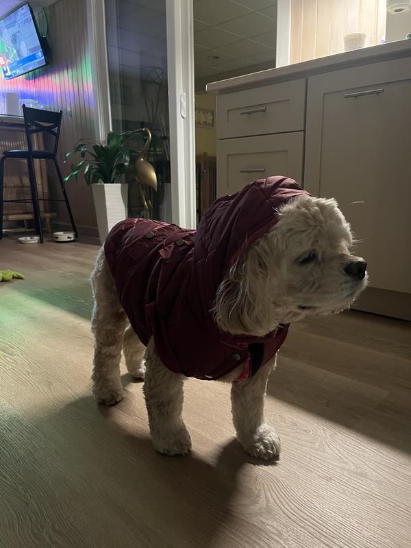 Frisco Heavy Weight Matte Quilted Volume Dog & Cat Puffer