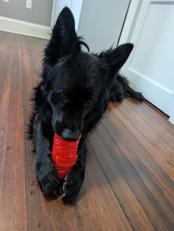Dante and his tiki cup