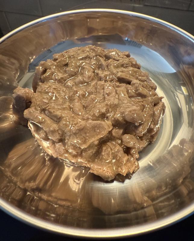 Good consistency - right amount of moisture