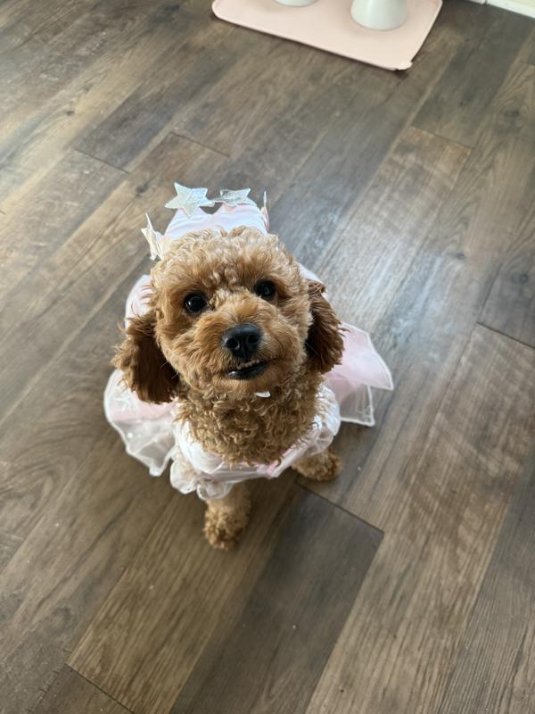 Glinda’s biggest fan