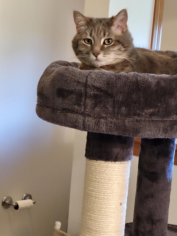 High in her tower!