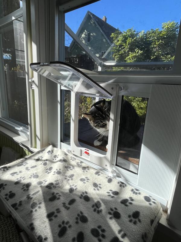 Discontinued IDEAL PET 2328 Sash Window Chubby Kat Cat Door, White