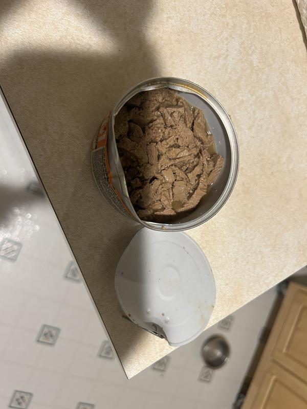 Another view of the dent and the brown dry “wet” food