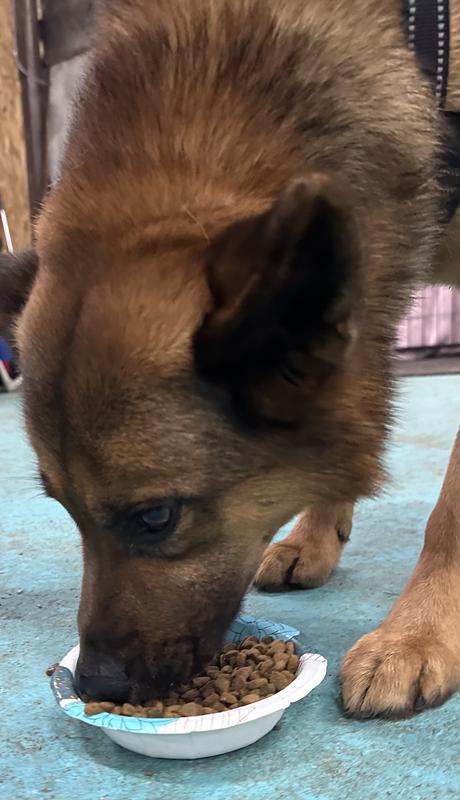 Barry gives Baby Blue 2 paws up!