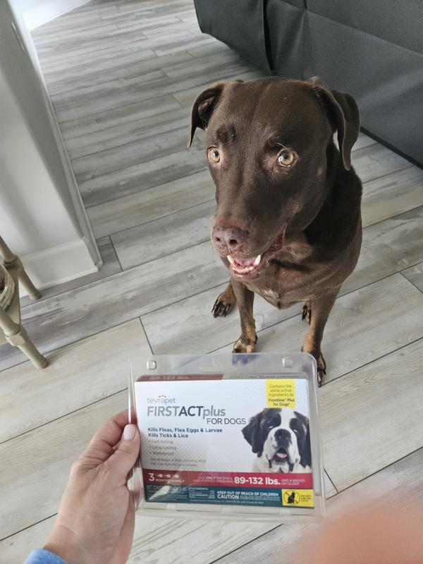 TEVRAPET FirstAct Plus Flea & Tick Spot Treatment for Dogs, 89 - 132lbs ...