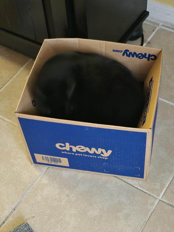 She was happy to see the delivery!