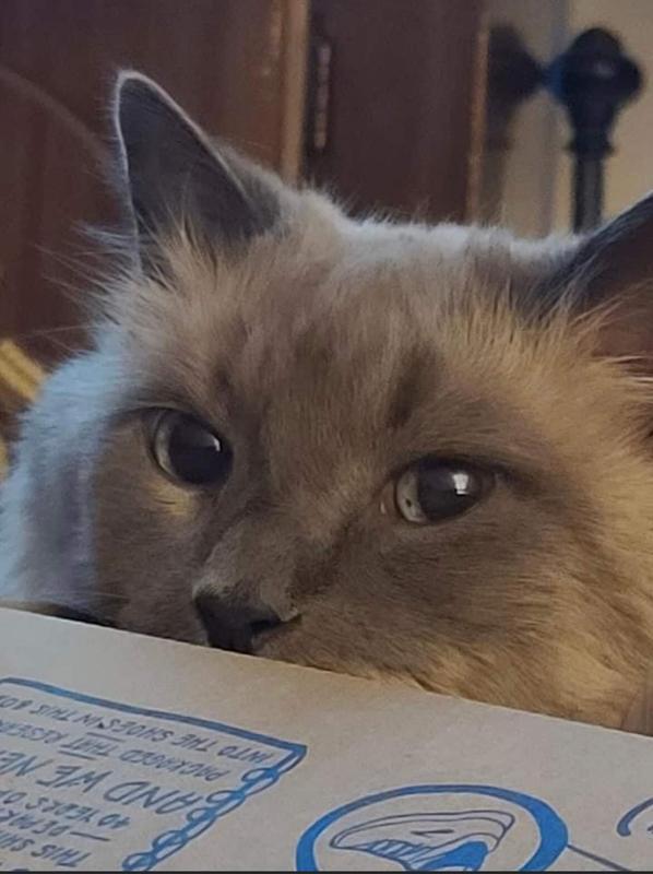 Smelling the Box!