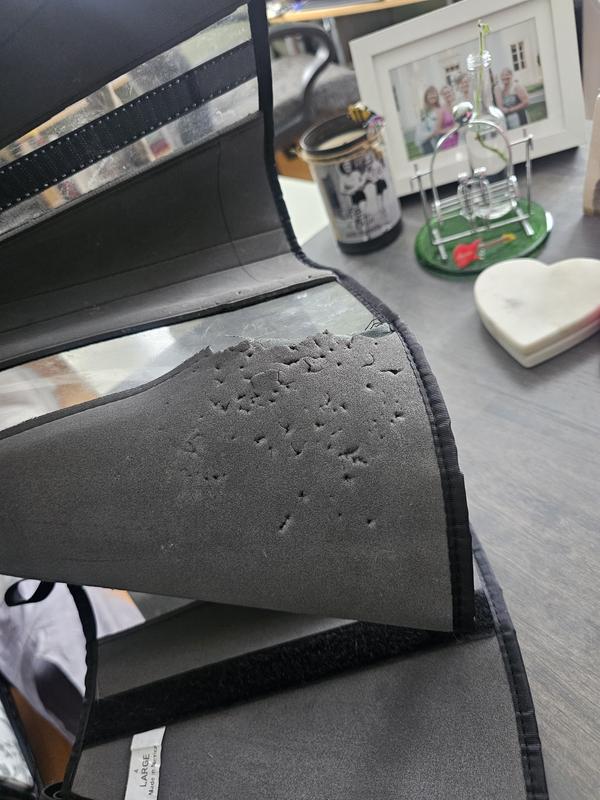 Foam interior of same collar, our dog was able to get a hold of the foam and start destroying it within 48 hours