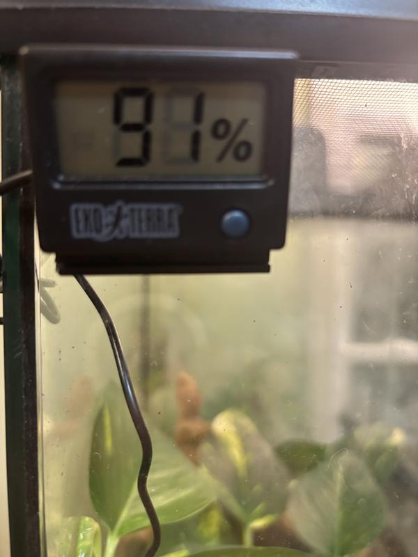 This  shows it when it was first put in. The tank was sprayed. And the reading afterwards.