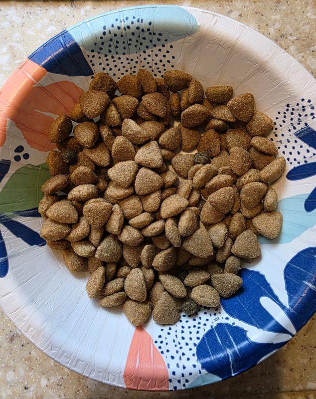 I'd rate the kibble size as small.