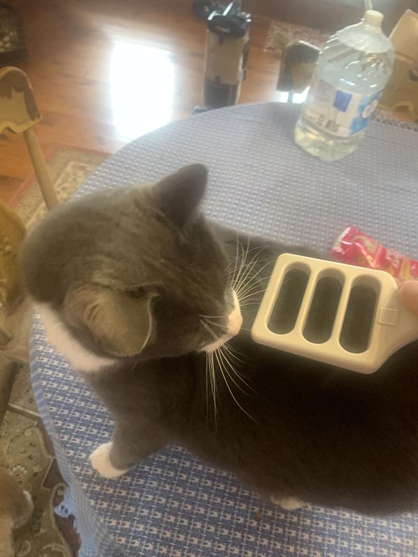 Happy Tails all around!