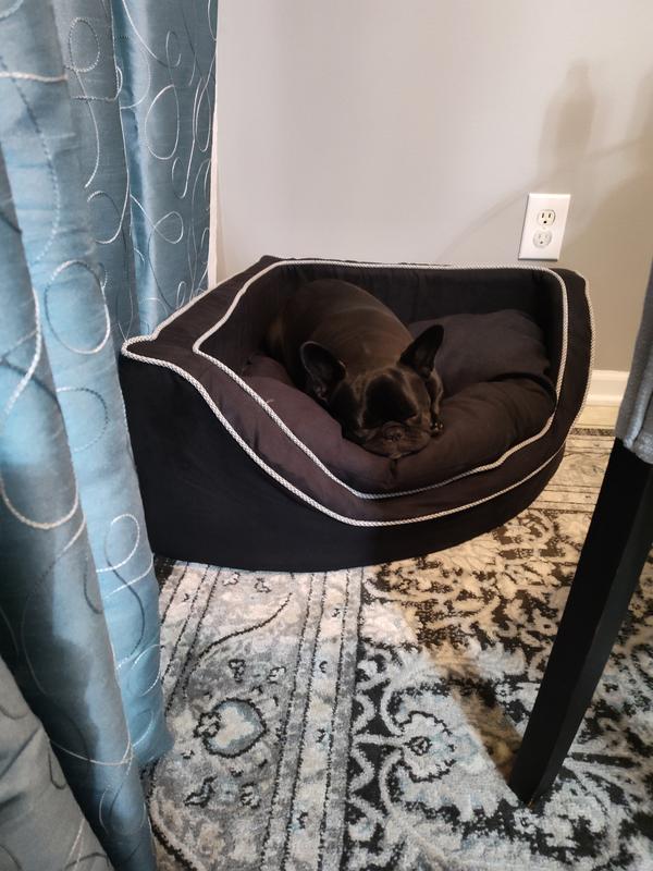 Snoozing in her Snoozer