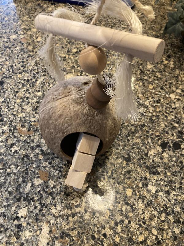 3 blocks of wood inside of the coconut