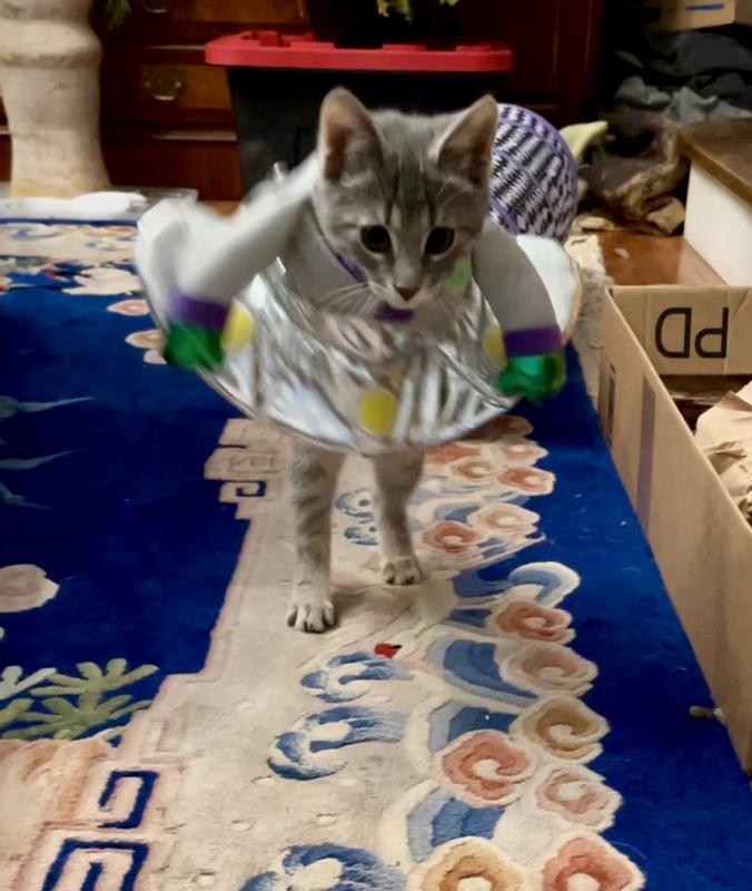 Frisco Front Walking Alien Dog & Cat Costume