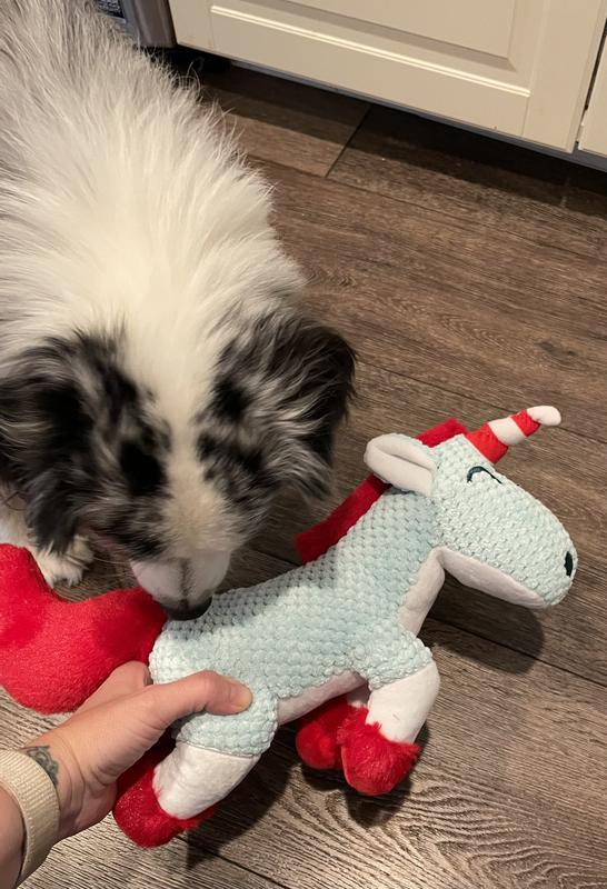 I smell it but I'm just not into dog toys mom.