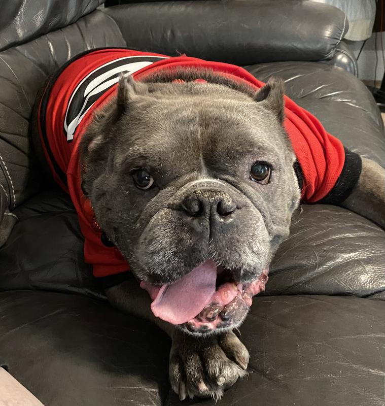 I love Bocce Bakery treats!