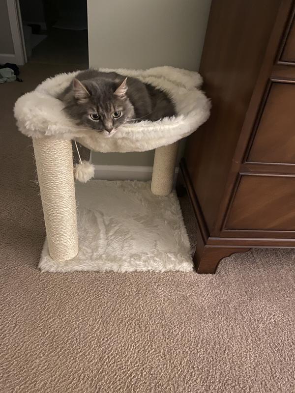 Wonderful napping place!