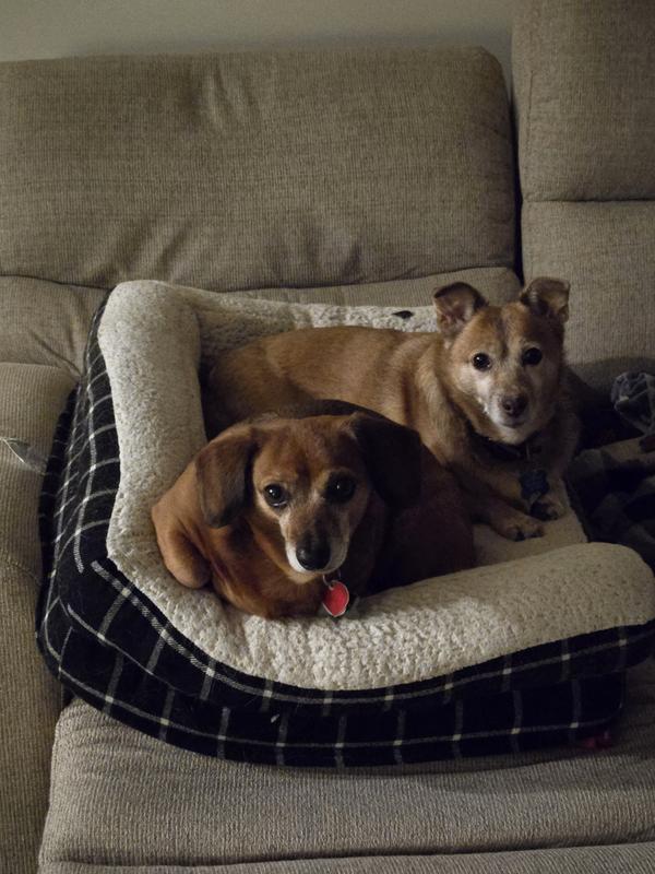 Are you ordering more?