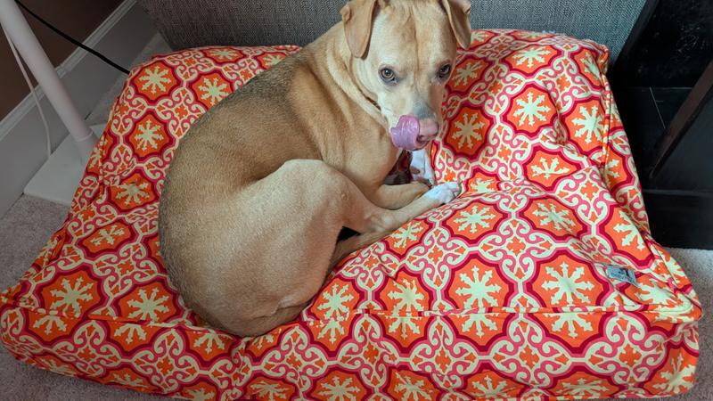 She seems hair and getting sleepy already.