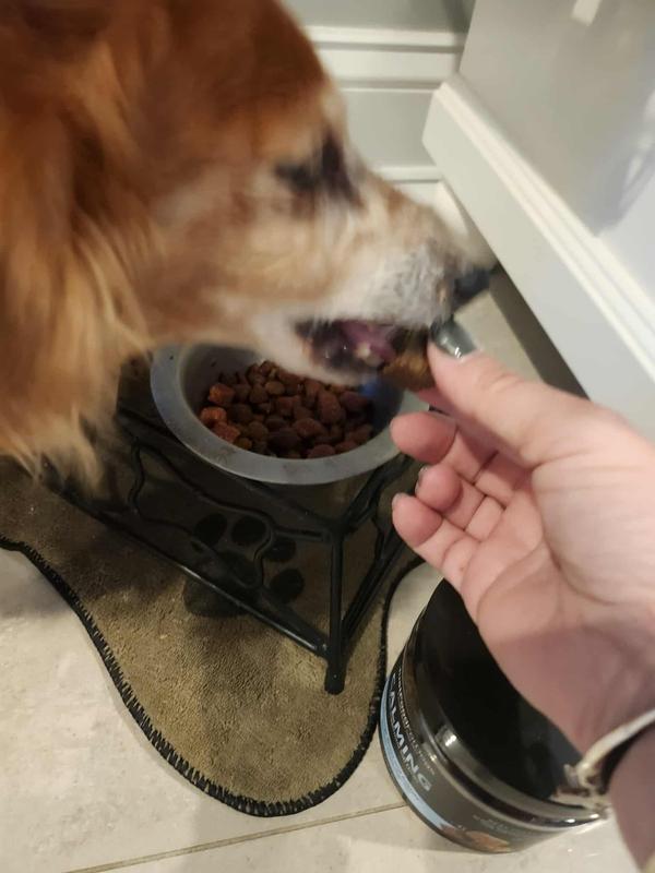 Before (eating calming chew)