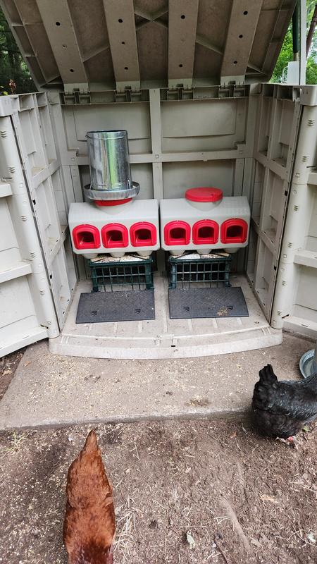 Housed in old plastic shed