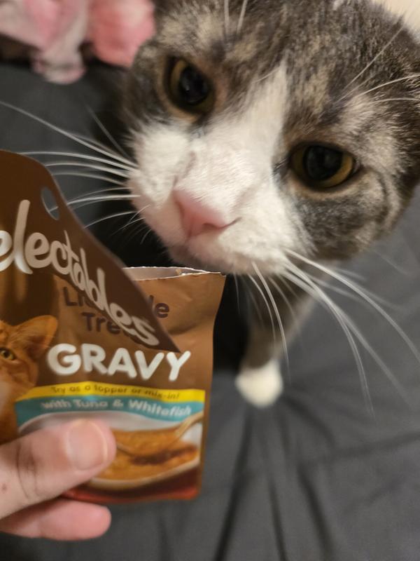 Cooper chowing down!