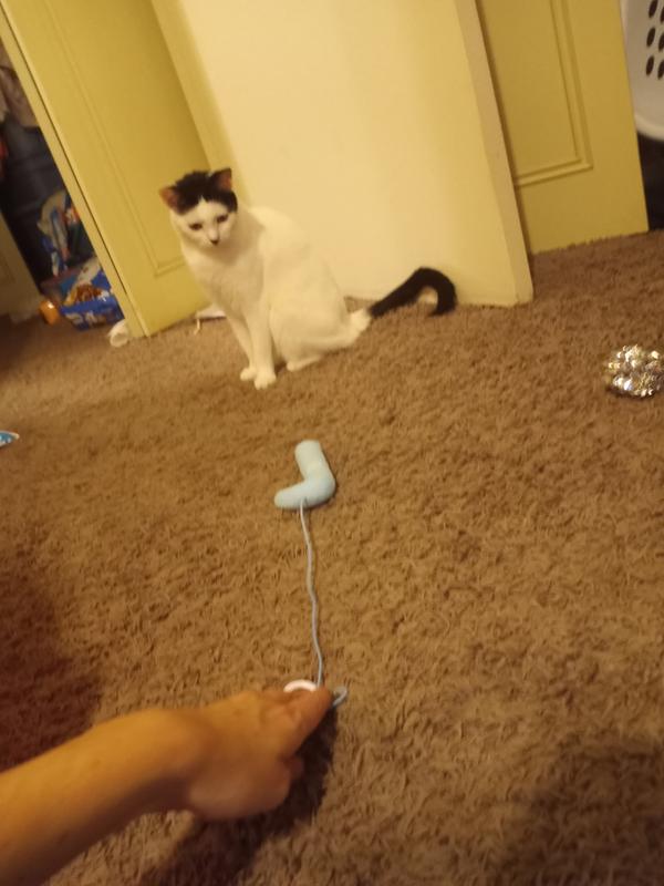 Christmas fun all day log