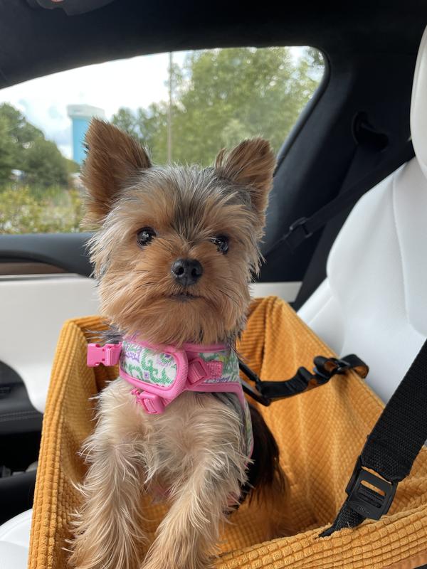 Bella in her car seat